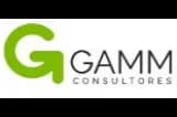 GAMM Consultores